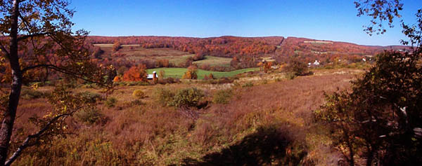 taken 10/11/03 from Bill Spittler's Treestand  2003 jim siefert