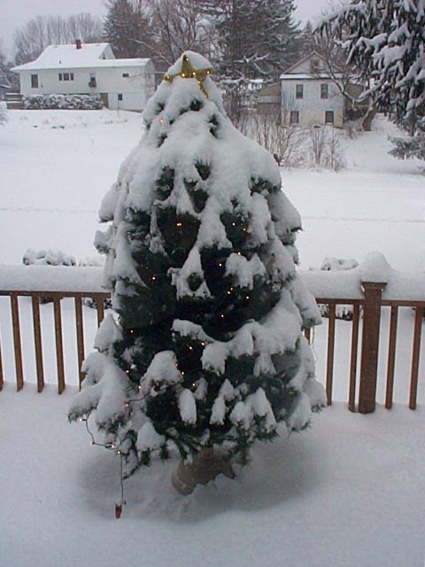 01_deck_x-mas_tree