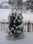 01_deck_x-mas_tree